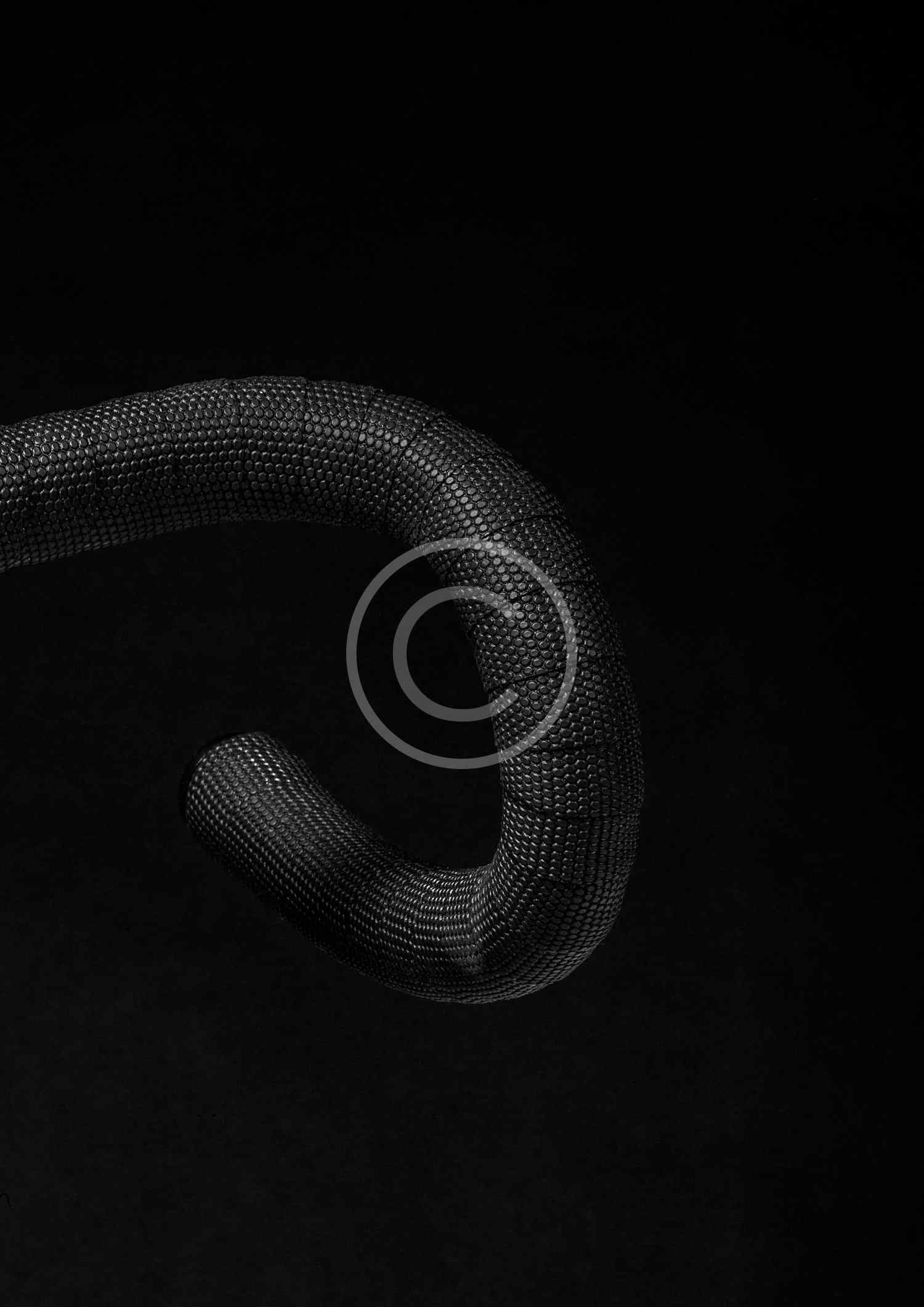 img-ab5-copyright img-ab5-copyright